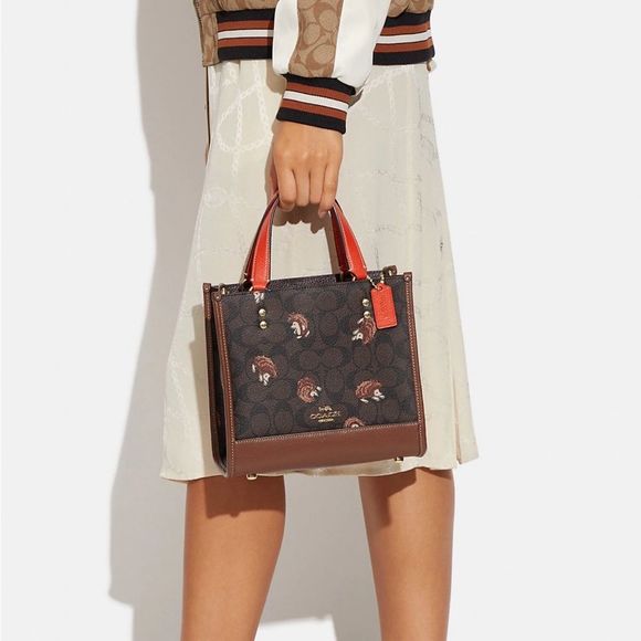 Coach Handbags - COACH Dempsey Tote 22 In Signature Canvas With Hedgehog Print/LIMITED ADDITION‼️